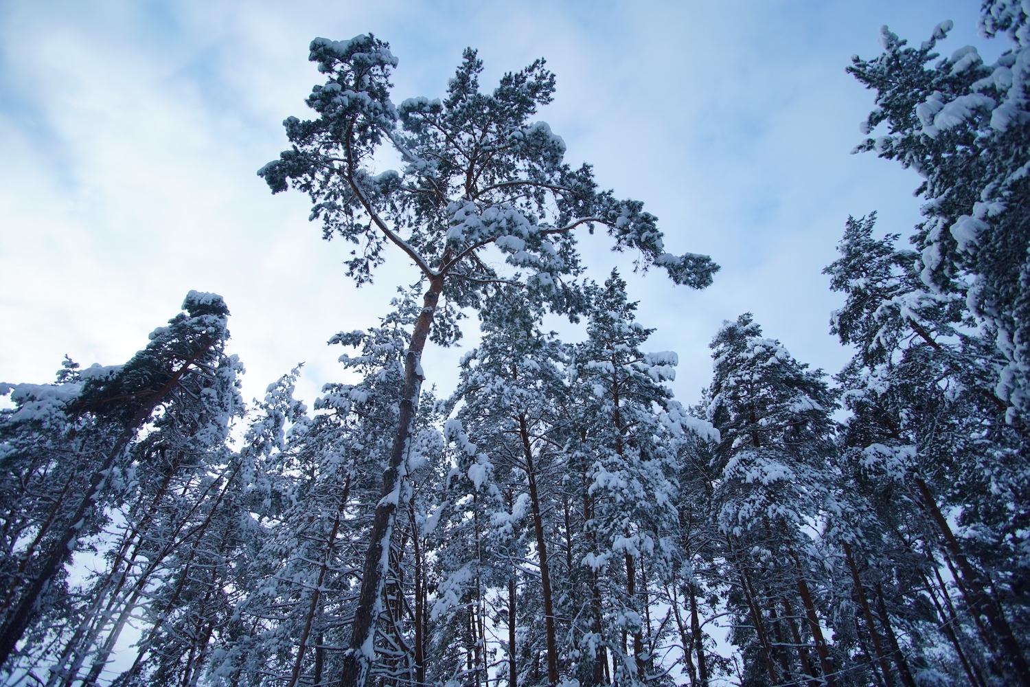 DSC03896 — копия