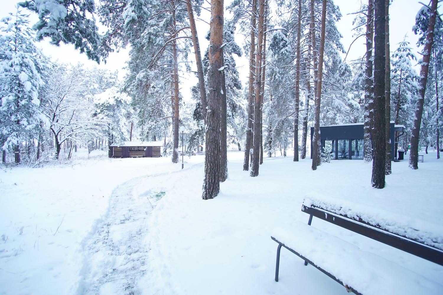 DSC03918 — копия