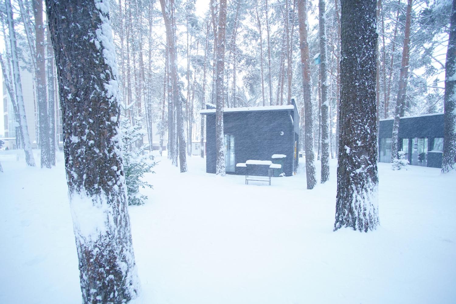 DSC03929 — копия